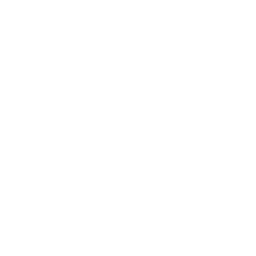 Viking